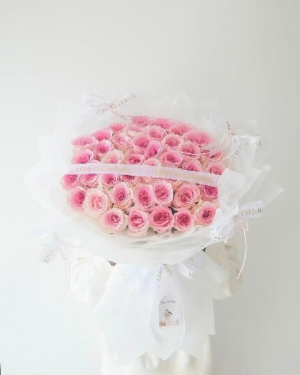 Luoshen Dreaming ( Best Seller ) (L)