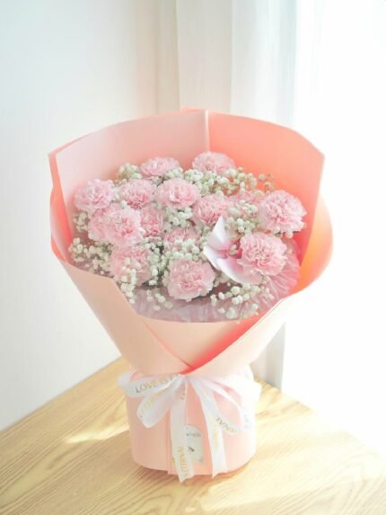 Carnations Love's Embrace (M)